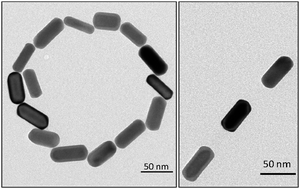 Graphical abstract: A robust procedure for the functionalization of gold nanorods and noble metal nanoparticles