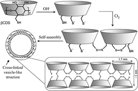 Graphical abstract: Self-assembly of cross-linked β-cyclodextrinnanocapsules