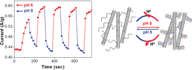 Graphical abstract: Switchable redox activity by proton fuelled DNA nano-machines