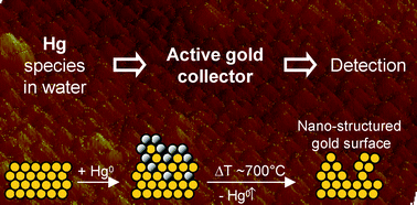 Graphical abstract: Activated gold surfaces for the direct preconcentration of mercury species from natural waters
