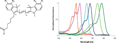 Graphical abstract: Catch and release microwave mediated synthesis of cyanine dyes