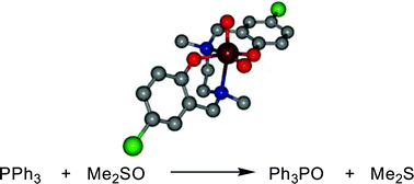 Graphical abstract: Electronic effects in oxo transfer reactions catalysed by salan molybdenum(vi) cis-dioxo complexes