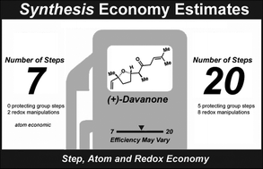 Graphical abstract: The economies of synthesis