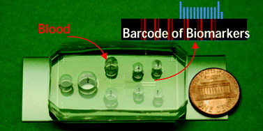 Graphical abstract: Self-powered microfluidic chips for multiplexed protein assays from whole blood