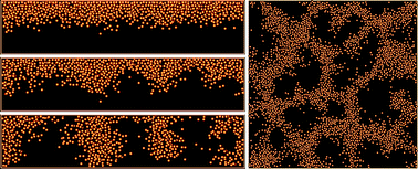 Graphical abstract: Direct observation of hydrodynamic instabilities in a driven non-uniform colloidal dispersion