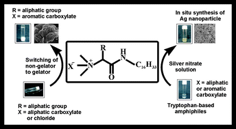 Graphical abstract: Counterion dependent hydrogelation of amino acid based amphiphiles: switching from non-gelators to gelators and facile synthesis of silver nanoparticles