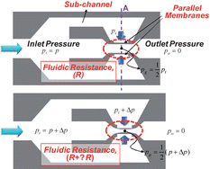 Graphical abstract: Passive flow-rate regulators using pressure-dependent autonomous deflection of parallel membrane valves