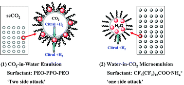 Graphical abstract: Selective hydrogenation of citral catalyzed with palladium nanoparticles in CO2-in-water emulsion