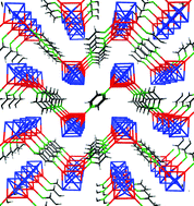 Graphical abstract: Copolymerization of Fe4Cu2C(CO)12 moieties with bidentate N-ligands: synthesis and crystal structure of the [Fe4Cu2(μ6-C)(CO)12(μ-bipy)]4·8THF square tetramer and the infinite [Fe4Cu2(μ6-C)(CO)12(μ-L–L)]∞ zigzag chains