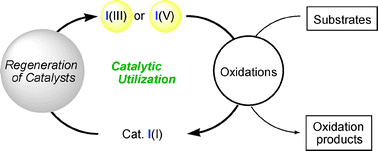 Graphical abstract: Hypervalent iodine reagents as a new entrance to organocatalysts