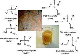 Graphical abstract: A mass spectrometry-based method to measure dialkylphosphate degradation products of organophosphorous insecticides in dust and orange juice