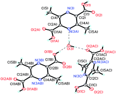 Graphical abstract: A new and efficient synthetic route for the synthesis of 3,6-dimethylpyrazine-2,5-dicarboxylic acid hydrate: molecular structure and unique supramolecular interactions