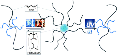 Graphical abstract: Miktoarm stars of poly(ethylene oxide) and poly(dimethylaminoethyl methacrylate): manipulation of micellization by temperature and light