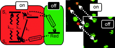 Graphical abstract: Single-molecule photophysics of oxazines on DNA and its application in a FRET switch