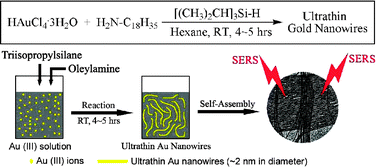 Graphical abstract: Simple and rapid synthesis of ultrathin gold nanowires, their self-assembly and application in surface-enhanced Raman scattering