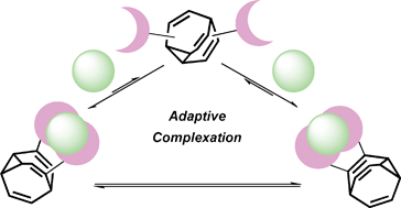 Graphical abstract: Dynamic supramolecular complexation by shapeshifting organic molecules