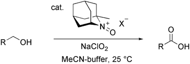 Graphical abstract: Oxoammonium salt/NaClO2: an expedient, catalytic system for one-pot oxidation of primary alcohols to carboxylic acids with broad substrate applicability