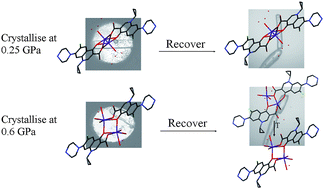 Graphical abstract: Crystal structures with a challenge: high-pressure crystallisation of ciprofloxacin sodium salts and their recovery to ambient pressure