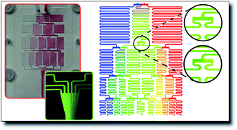 Graphical abstract: Optimisation and analysis of microreactor designs for microfluidic gradient generation using a purpose built optical detection system for entire chip imaging
