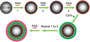 Graphical abstract: Quantum-dot-coated encoded silica colloidal crystals beads for multiplex coding