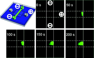 Graphical abstract: High speed nanofluidic protein accumulator