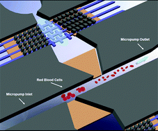 Graphical abstract: An air-bubble-actuated micropump for on-chip blood transportation