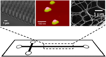 Graphical abstract: Nanopillar, nanoball, and nanofibers for highly efficient analysis of biomolecules