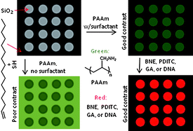 Graphical abstract: Directing polyallylamine adsorption on microlens array patterned silicon for microarray fabrication