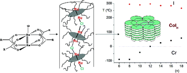 Graphical abstract: Supramolecular architecture elucidation of the room temperature columnar mesophases exhibited by mixed-valent diruthenium alkoxybenzoates