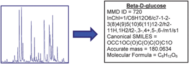 Graphical abstract: Mass spectrometry tools and metabolite-specific databases for molecular identification in metabolomics