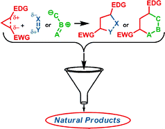 Graphical abstract: Heterocycles from cyclopropanes: applications in natural product synthesis