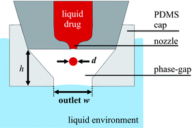 Graphical abstract: A modular diffusion barrier based on phase separation for localized delivery of discrete drug volumes in aqueous environments