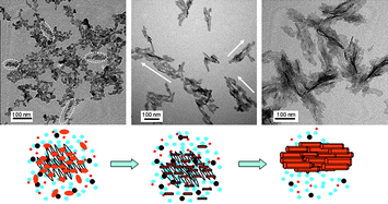 Graphical abstract: Effect of silk sericin on assembly of hydroxyapatite nanocrystals into enamel prism-like structure