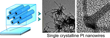 Graphical abstract: Facile formation of single crystalline Pt nanowires on a substrate utilising lyotropic liquid crystals consisting of cationic surfactants