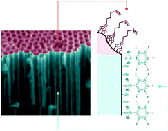 Graphical abstract: Nanoporous anodic aluminium oxide membranes with layered surface chemistry