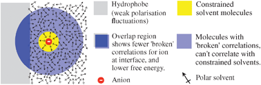 Graphical abstract: An explanation for the charge on water’s surface