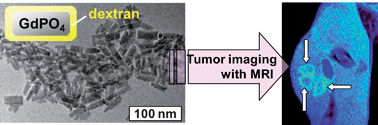 Graphical abstract: Dextran Coated Gadolinium Phosphate Nanoparticles for Magnetic Resonance Tumor Imaging