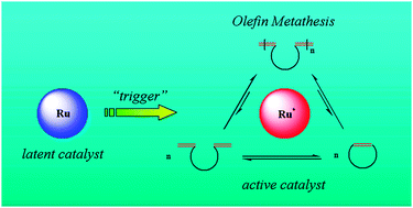 Graphical abstract: Latent olefin metathesis catalysts