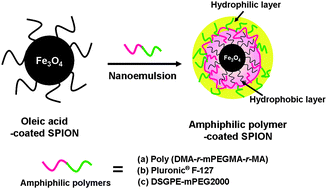 Graphical abstract: Antibiofouling amphiphilic polymer-coated superparamagnetic iron oxide nanoparticles: synthesis, characterization, and use in cancer imaging in vivo