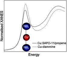 Graphical abstract: In situ XAS and IR studies on Cu:SAPO-5 and Cu:SAPO-11: the contributory role of monomeric linear copper(i) species in the selective catalytic reduction of NOx by propene