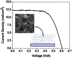 Graphical abstract: Efficient electron transport in tetrapod-like ZnO metal-free dye-sensitized solar cells