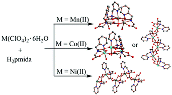 Graphical abstract: Metal complexes with N-(2-pyridylmethyl)iminodiacetate: from discrete polynuclear compounds to 1D coordination polymers