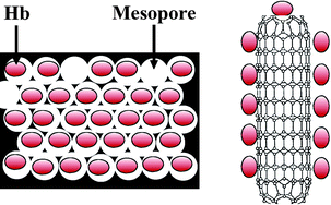 Graphical abstract: A promising electrochemical biosensing platform based on graphitized ordered mesoporous carbon