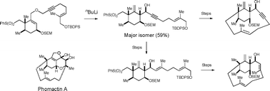 Graphical abstract: Synthesis of macrocyclic precursors of phomactins using [2,3]-Wittig rearrangements