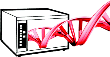 Graphical abstract: The effect of microwave irradiation on DNA hybridization