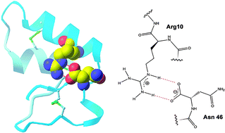 Graphical abstract: Role of a salt bridge in the model protein crambin explored by chemical protein synthesis: X-ray structure of a unique protein analogue, [V15A]crambin-α-carboxamide