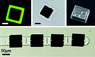 Graphical abstract: Optofluidic encapsulation and manipulation of silicon microchips using image processing based optofluidic maskless lithography and railed microfluidics