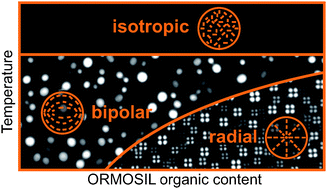 Graphical abstract: Molecular configuration transitions of a nematic liquid crystal encapsulated in organically modified silicas