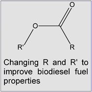 Graphical abstract: Improving biodiesel fuel properties by modifying fatty ester composition
