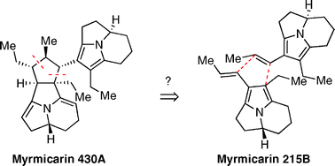 Graphical abstract: Total synthesis and study of myrmicarin alkaloids